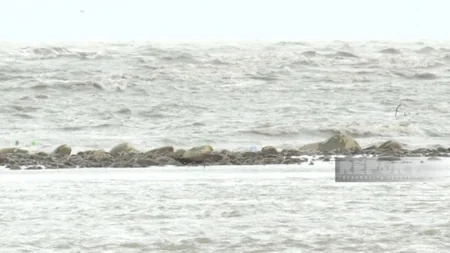 Dam collapses in Bala Kura delta in Azerbaijan's Neftchala