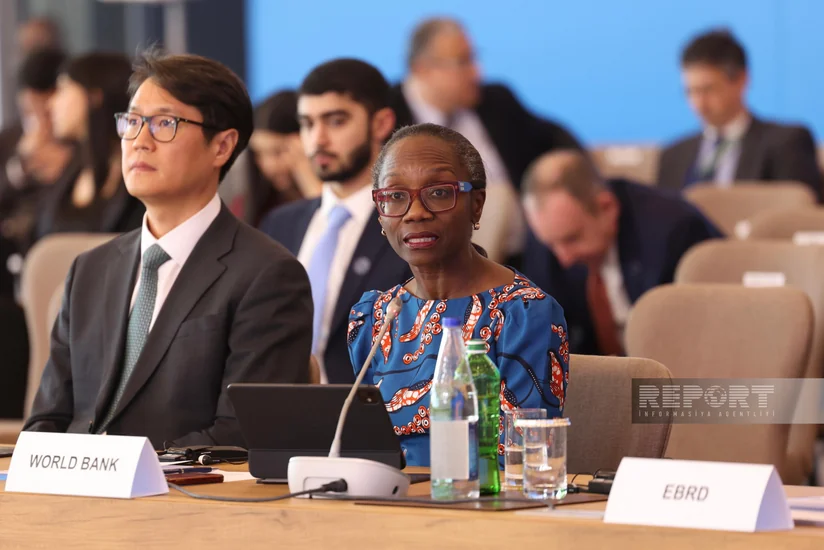 ВБ подтвердил поддержку инициативы зеленого энергетического коридора