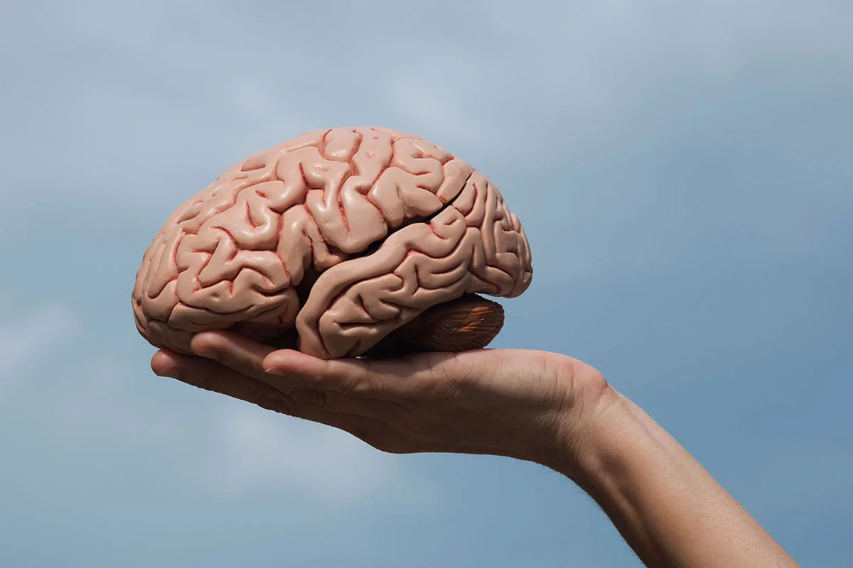 Smoking identified as key factor in accelerated cognitive decline