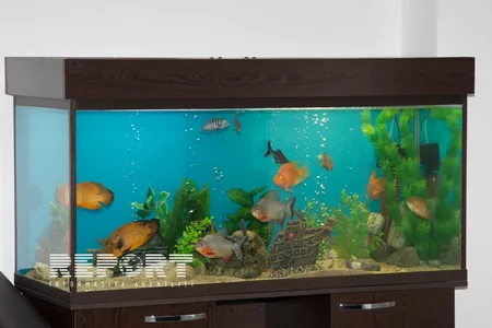 Azərbaycanda dövlət qurumunun işçiləri stress atmaq üçün manekeni yumruqlayacaqlar - FOTO