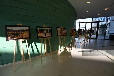 Bakıda Çiliyə həsr olunmuş fotosərginin açılışı olub