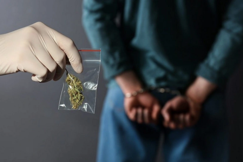 В Азербайджане из оборота изъято 243 кг наркотиков