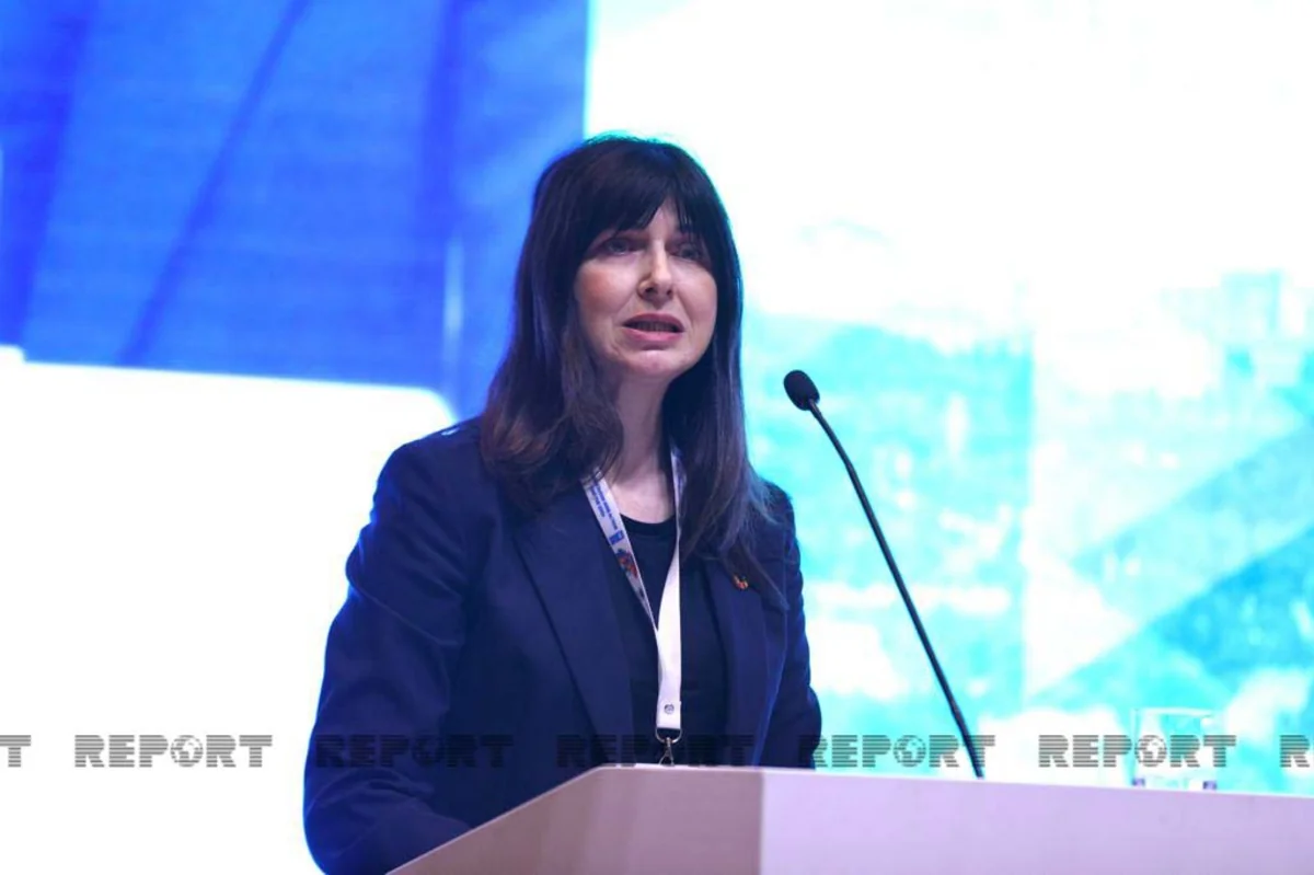 Resident coordinator: UN to continue to support Azerbaijan