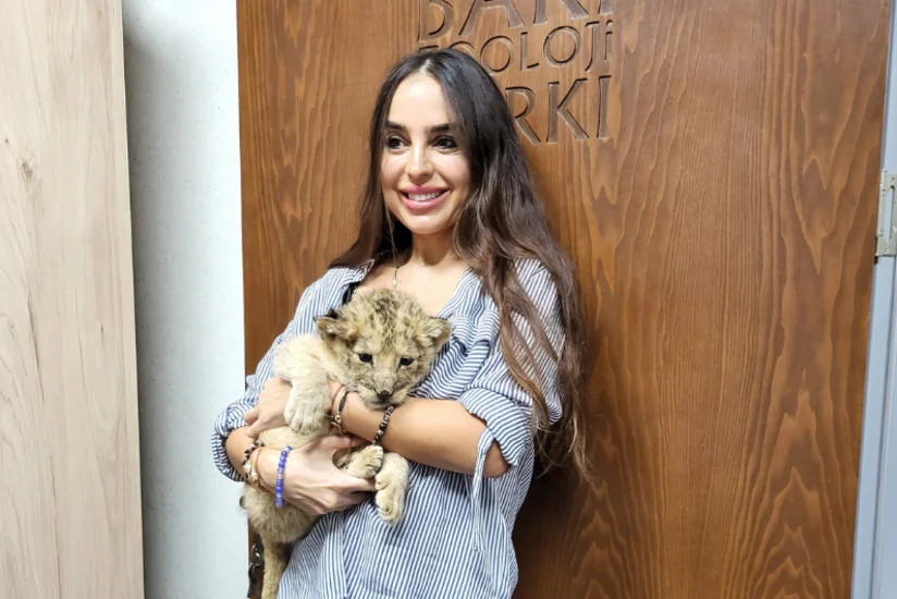 Baku Zoo welcomes baby lion cub