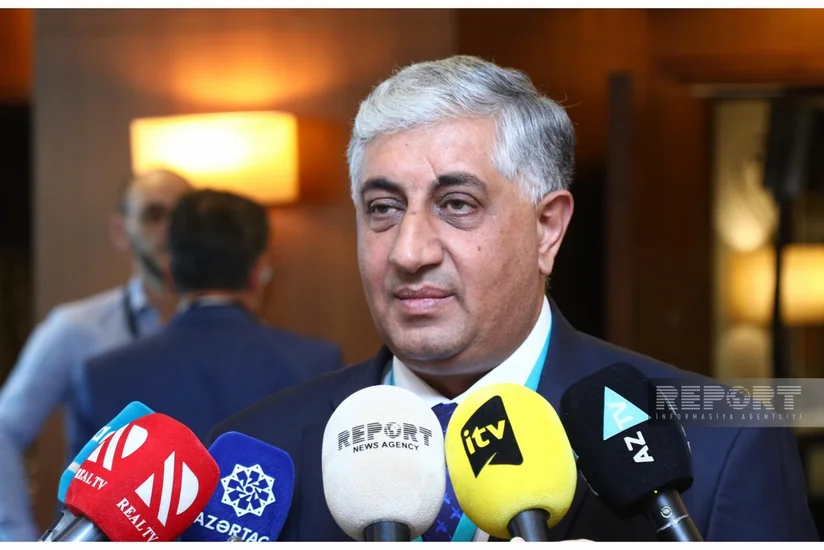 Hazırda Azərbaycanda heyvanlar arasında xüsusi təhlükəli infeksion xəstəlik yoxdur - RƏSMİ
