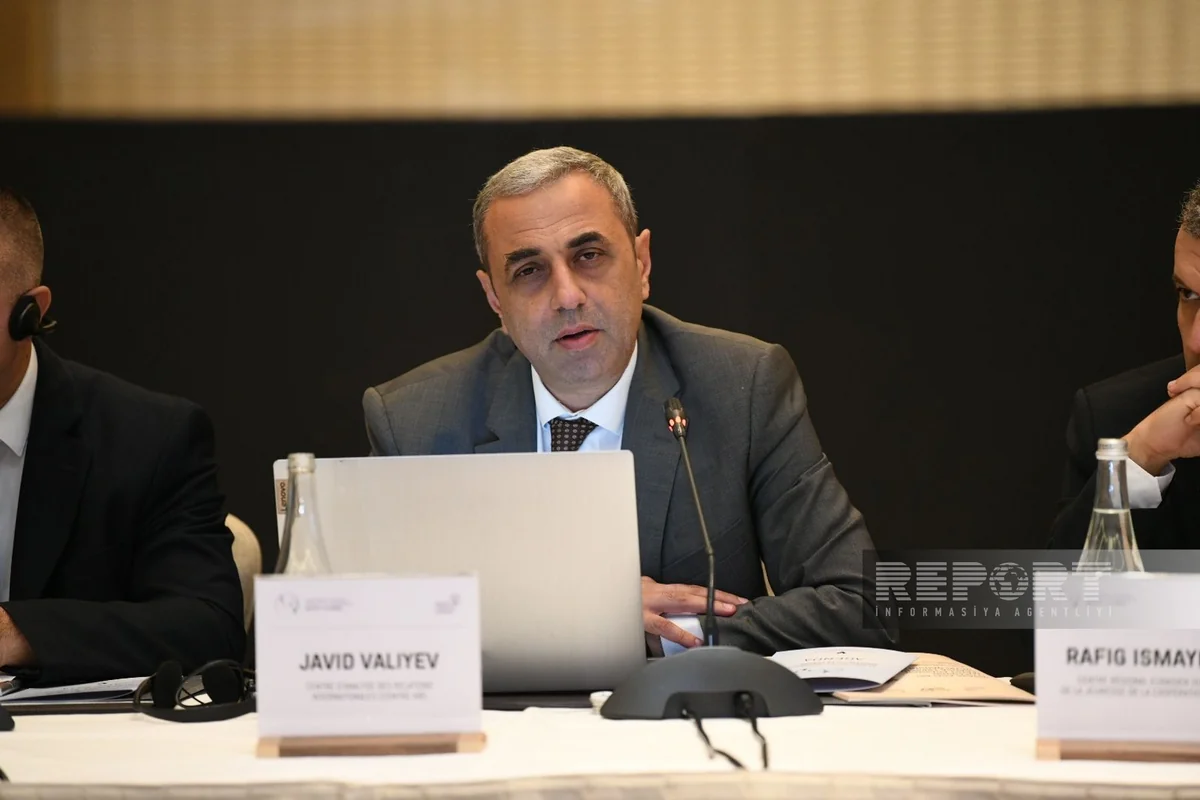 Şöbə müdiri: Fransa Mayot adasını iqtisadi maraqlara görə işğal edib
