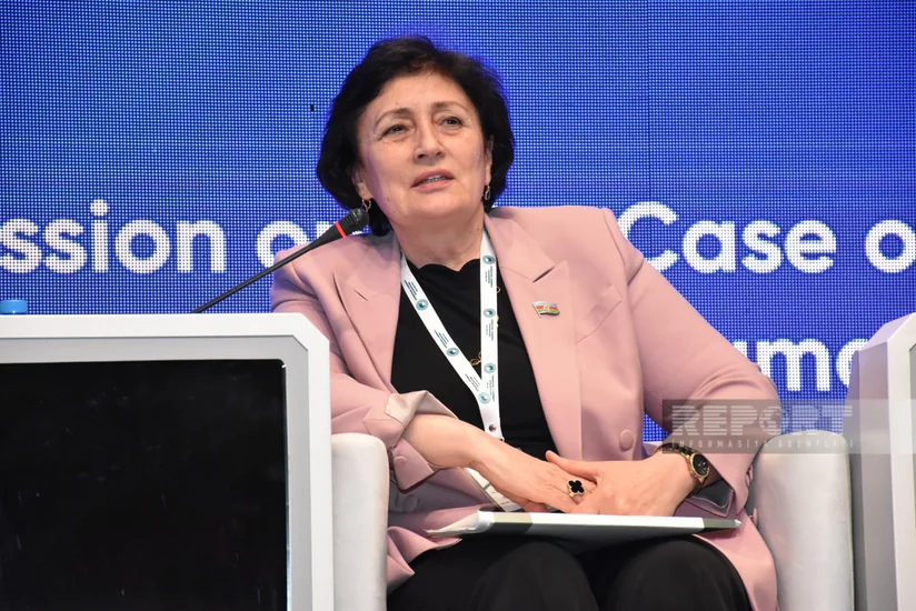 Депутат: Враждебность Макрона к исламу стала частью государственной политики