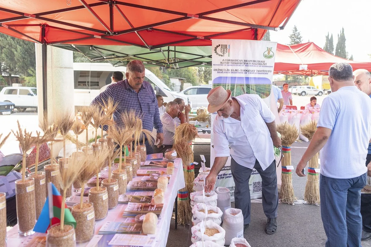 В Джалилабаде прошла выставка-ярмарка семян