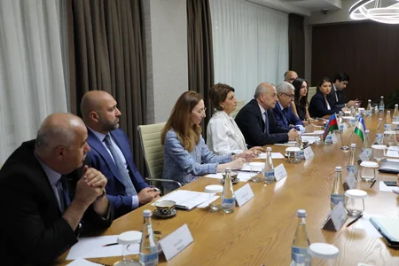 Azərbaycanla Özbəkistanın enerji əməkdaşlığı üzrə İşçi qrupunun iclası olub