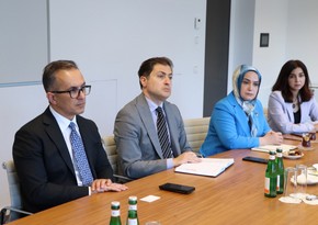 Ramin Məmmədov Almaniya Müsəlmanları Mərkəzi Şurasının sədri ilə görüşüb