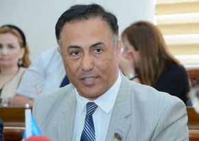 Elman Nəsirov: “Sosial şəbəkələr cəngəllik qanunları ilə idarə olunur”