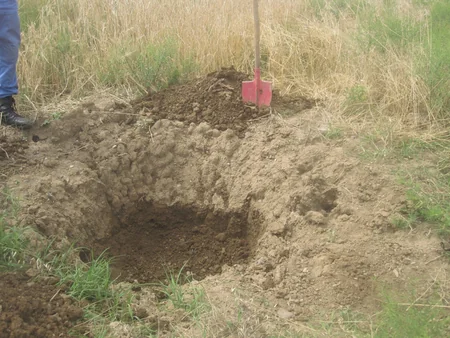 İki rayonda partlamamış hərbi sursatlar aşkarlanıb