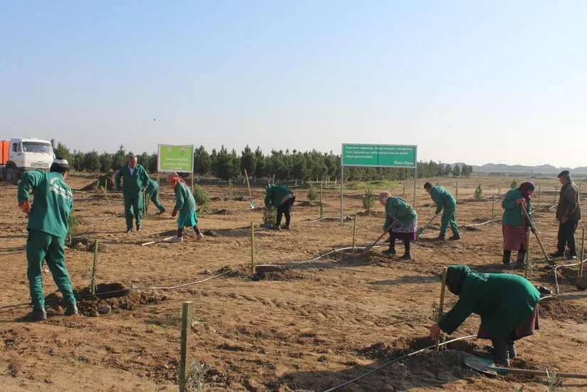 ETSN Bakıda ağacəkmə aksiyası keçirib