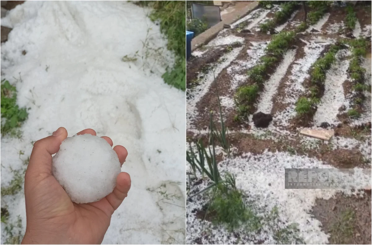 Culfaya dolu yağıb 