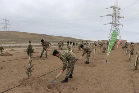 Hərbi qulluqçular ETSN-in nümayəndələri ilə birgə Müşfiqabadda 1 500 ədəd ağac tingi əkib