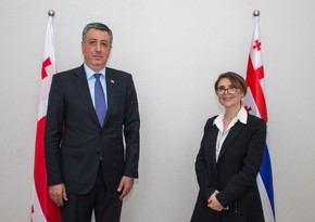 Azərbaycan səfiri acarıstanlı nazirlə mədəni əməkdaşlığın genişləndirilməsini müzakirə edib