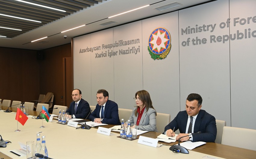 Azerbaijan, Vietnam hold inter-ministerial political consultations