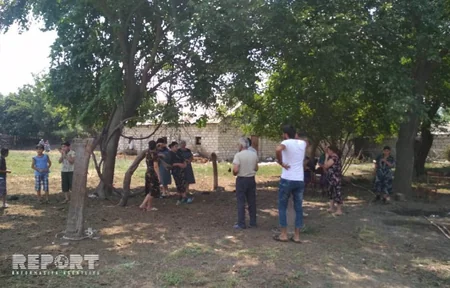 Bərdədə şəxsi təsərrüfatdan mal-qara oğurlanıb