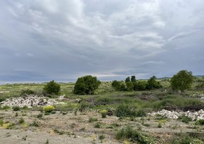 Soil samples of Fuzuli Central Park to be subjected to laboratory analysis in Turkiye