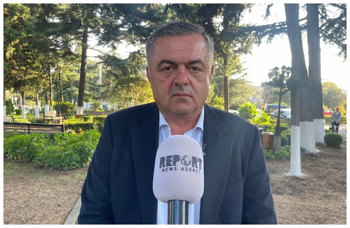 Georgian Dream rep: Georgia interested in peace, shouldn't allow influence of external forces