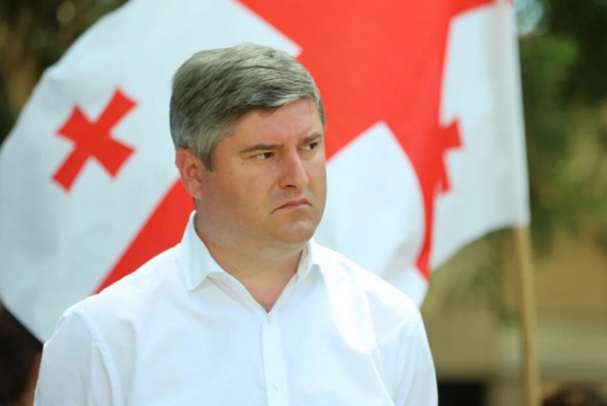 Mayor of Georgian city resigns