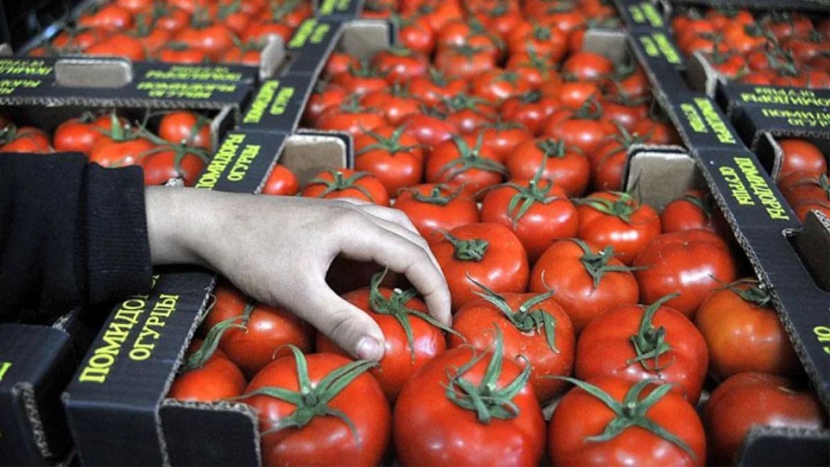 Предприятиям Азербайджана разрешено поставлять помидоры в Россию