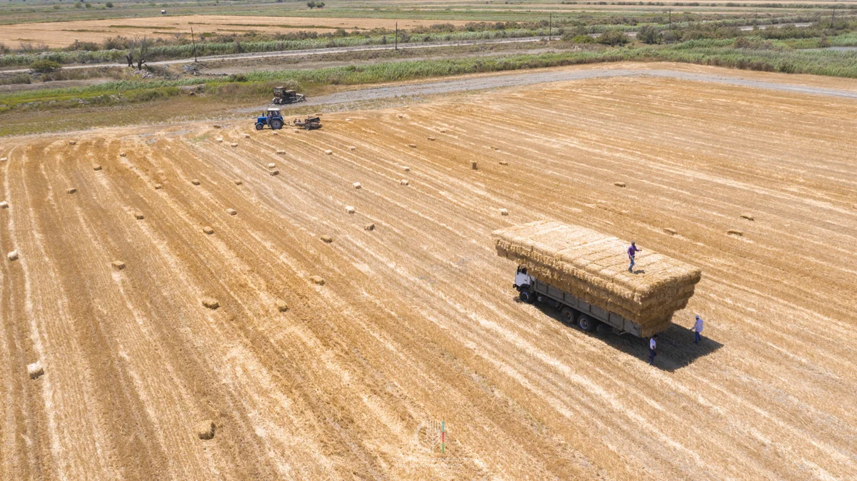 Azərbaycanda aqrar sektor 2% böyüyüb