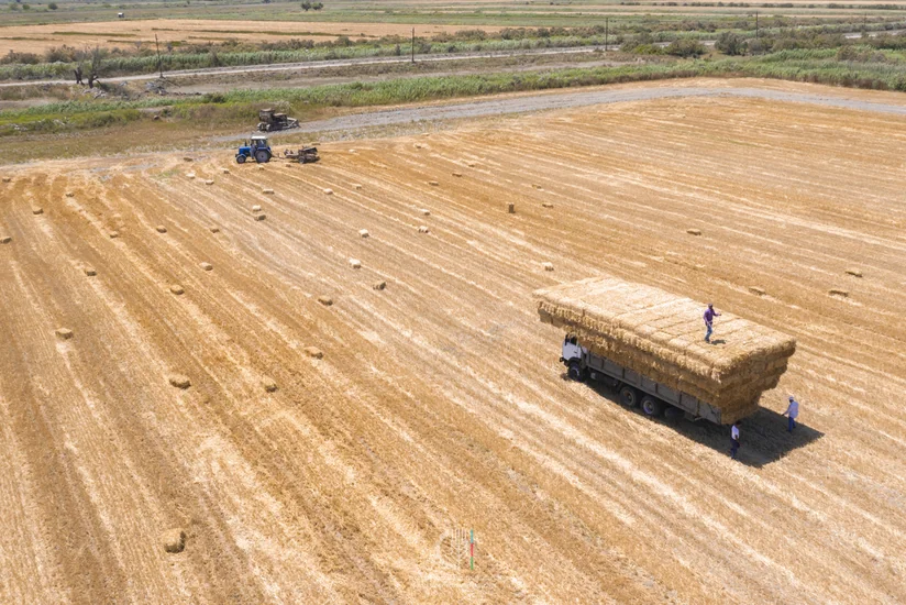 Azərbaycanda aqrar sektor 2% böyüyüb