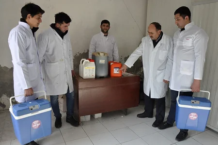 Kürdəmirdə heyvanlar arasında profilaktik peyvəndləmə tədbirləri aparılır