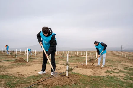 Gənclər Günü münasibətilə ağacəkmə aksiyası keçirilib, gələcək üçün yeni, sağlam dünya yaratmağa çağırış edilib