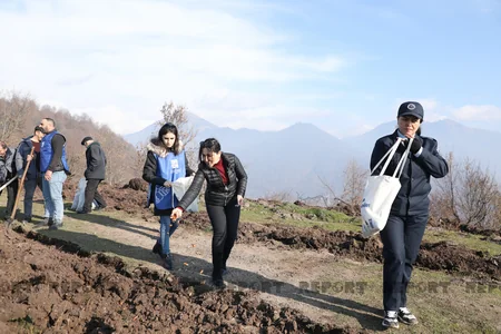 Qəbələnin yanğına məruz qalmış meşə sahəsinə ağac toxumları səpilib