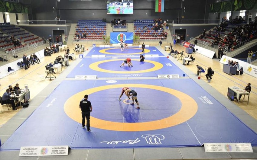 Titullu güləşçi Azərbaycan çempionatında finala yüksəlib