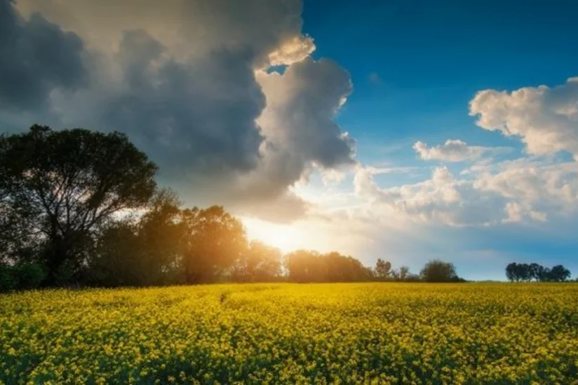 Weather expected to be dry tomorrow