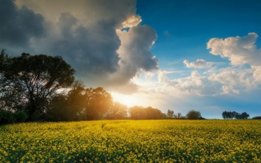 Weather expected to be dry tomorrow