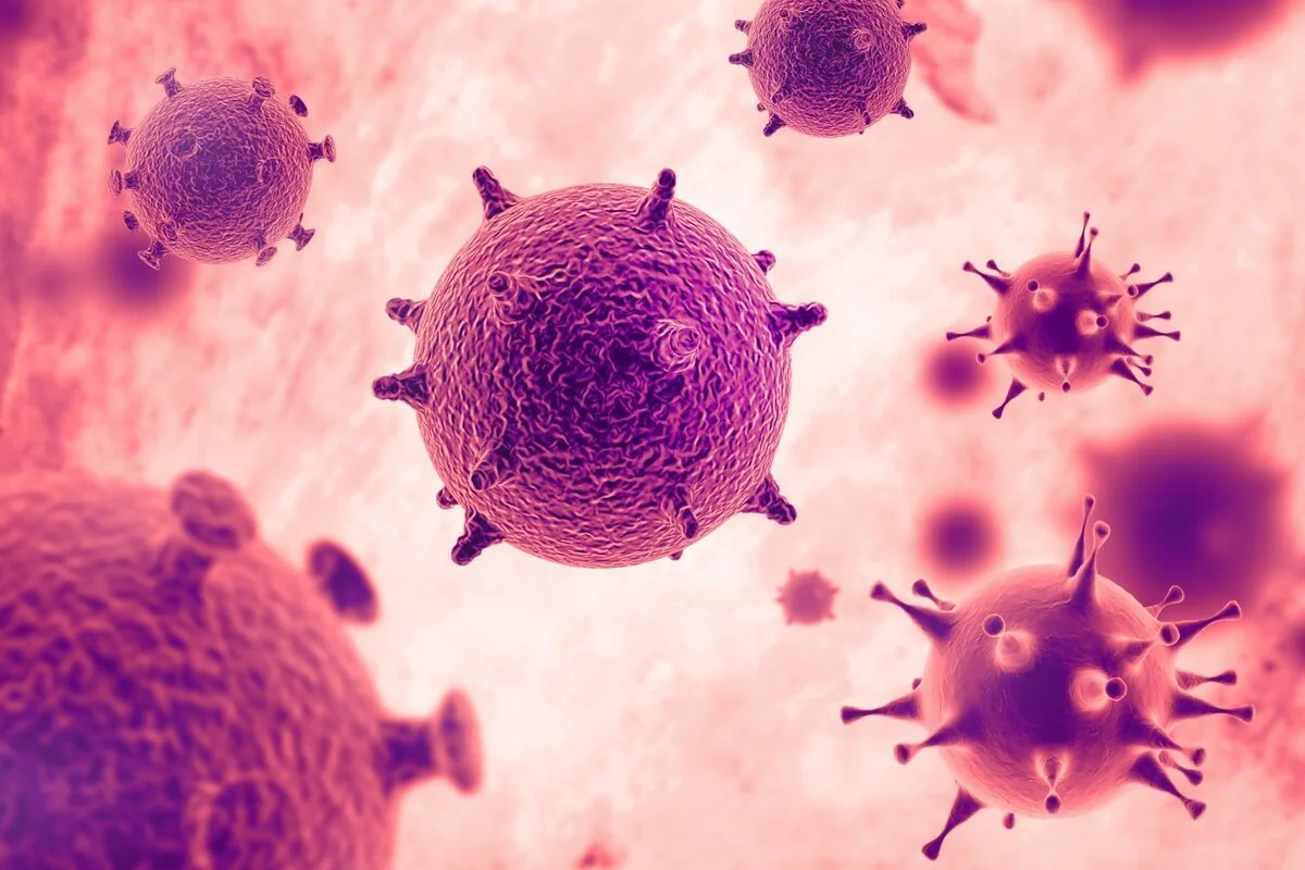 Alimlər: Koronavirus yüksək istilikdə də yaşayır