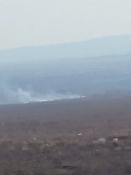 Oğuzda meşə ərazisində baş verən yanğın söndürülüb - YENİLƏNİB