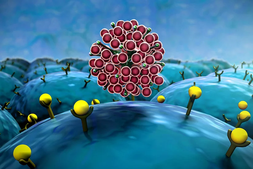 В Малайзии обнаружили первый случай заражения омикрон-штаммом