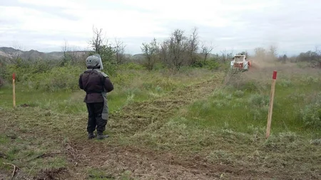 Cocuq Mərcanlıda 1124 ədəd qəlpə aşkarlanıb