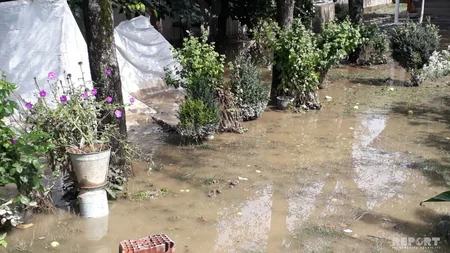 Balakəndə güclü yağış bir sıra fəsadlar törədib - FOTO - VİDEO - YENİLƏNİB