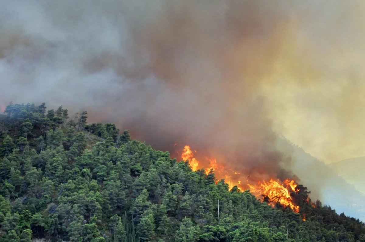 Wildfires ravage forests in three Turkish provinces