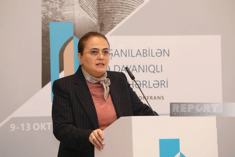 Səadət Yusifova: İşğaldan azad olunmuş ərazilərdə abidələrin monitorinqini yekunlaşdırmaq çətindir