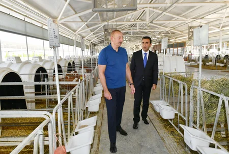 Ilham Aliyev gets acquainted with activities of Agsu Agropark