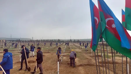 Сотрудники Азерэнержи присоединились к акции по посадке деревьев