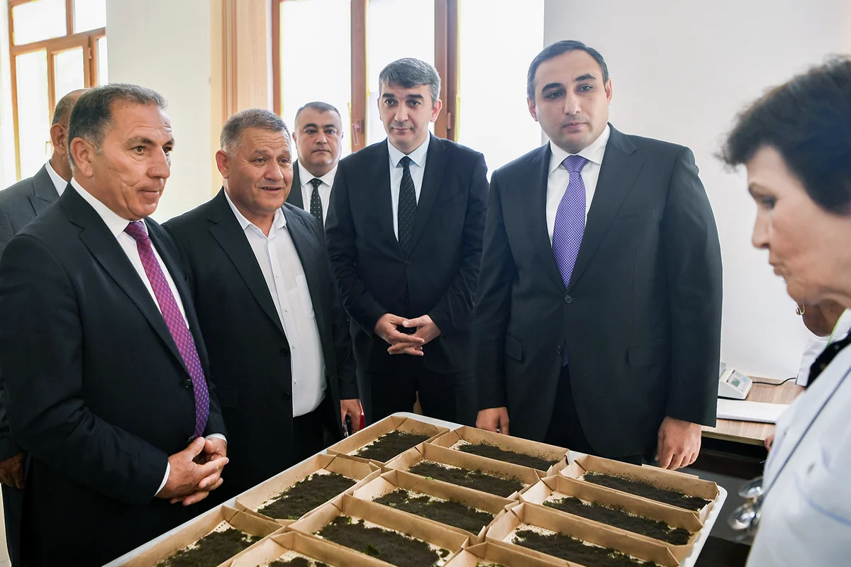 Azərbaycanda 2024-cü il barama mövsümünə start verilib