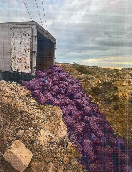 Azərbaycana dörd ölkədən gətirilən yararsız məhsullar məhv edilib