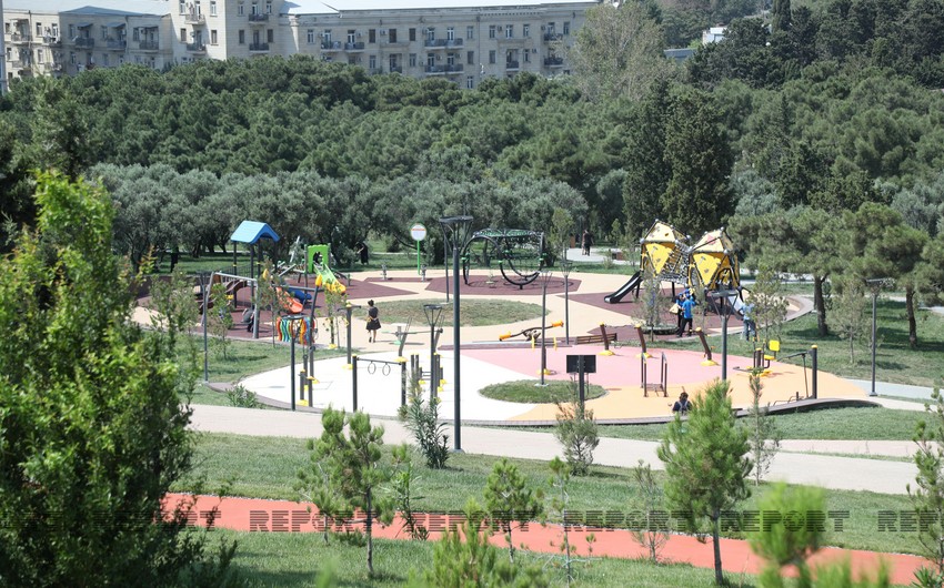 Новый парк Баку площадью в 43 га