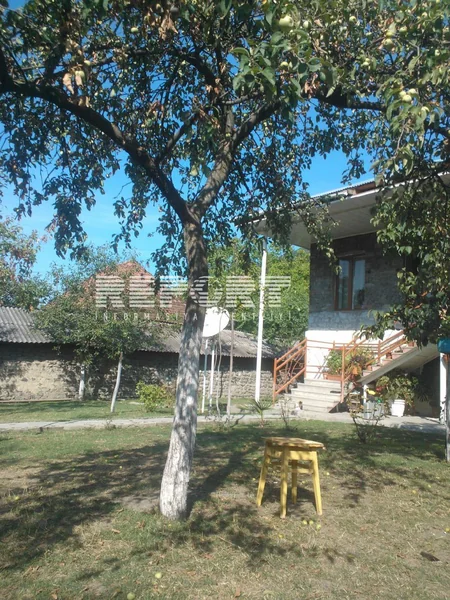 Qaxda 58 yaşlı kişi intihar edib - FOTO