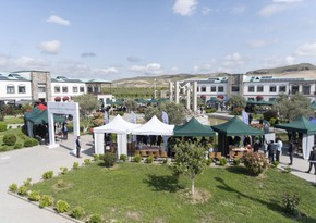 Agribusiness festival held in Aghali