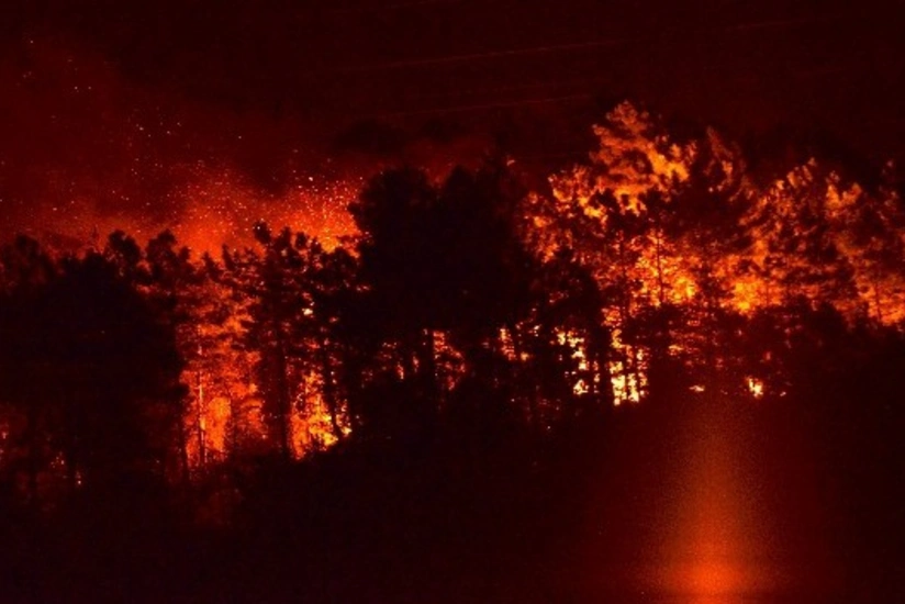 Türkiyədə güclü meşə yanğını baş verib - FOTO