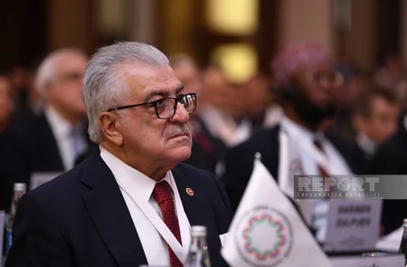 Bakıda Qərbi Azərbaycana qayıdışla bağlı beynəlxalq konfransın ilk günü başa çatıb - YENİLƏNİB